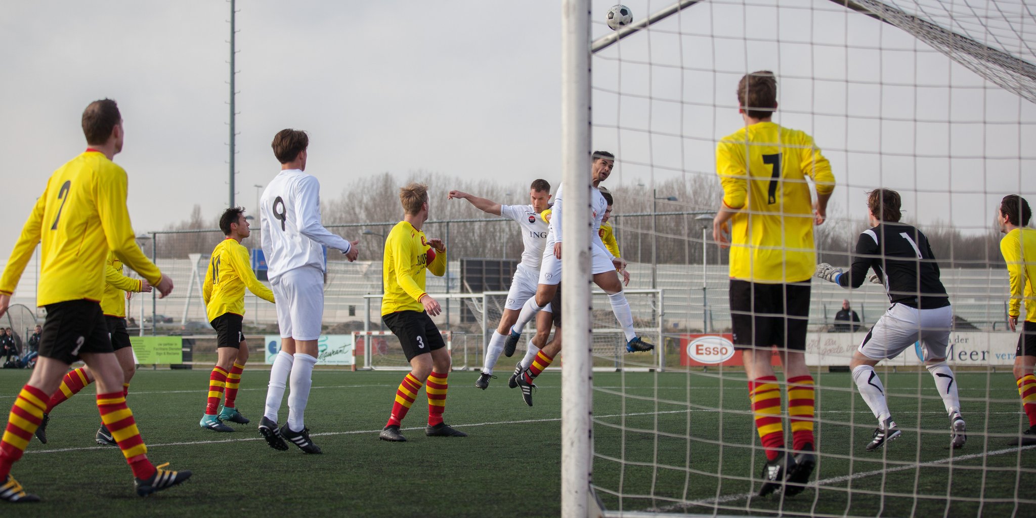20180127 Meerburg-Oegstgeest-8.jpg